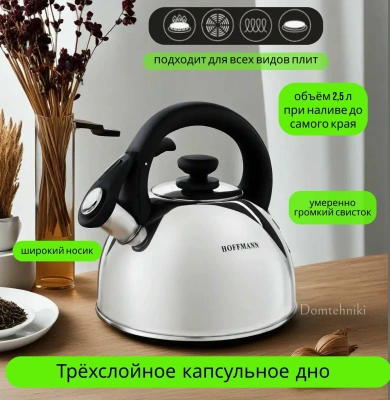 Чайник 2,5л НМ55127 нерж.