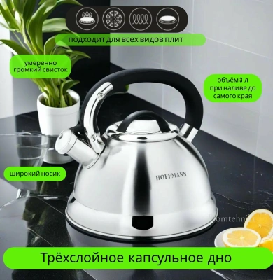 Чайник 3л НМ55218 нерж ч/р